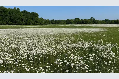 Xxxxx County Road Z, Trade Lake, WI 54840 - Photo 17
