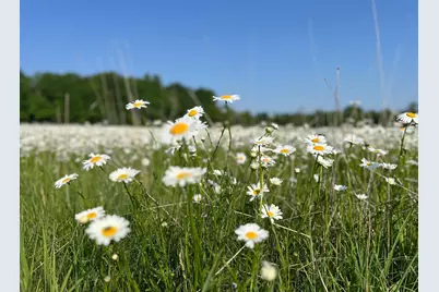Xxxxx County Road Z, Trade Lake, WI 54840 - Photo 13