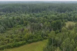 Tbd Tangnes Forest Rd, Southeast Roseau Unorg. Terr., MN 56673 - Photo 23