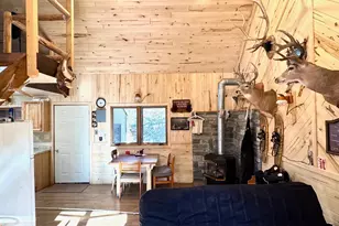 Tbd Tangnes Forest Rd, Southeast Roseau Unorg. Terr., MN 56673 - Photo 11