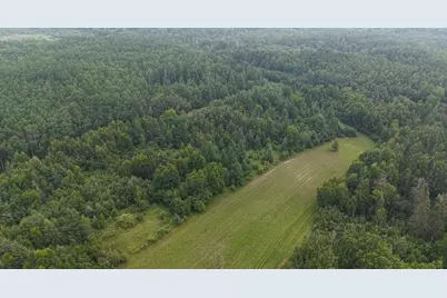 Tbd Tangnes Forest Road, Southeast Roseau Unorg. Terr., MN 56673 - Photo 3