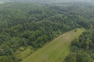 Tbd Tangnes Forest Rd, Southeast Roseau Unorg. Terr., MN 56673 - Photo 3