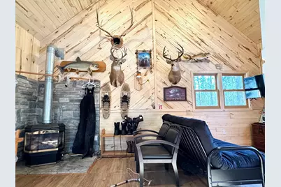 Tbd Tangnes Forest Road, Southeast Roseau Unorg. Terr., MN 56673 - Photo 9