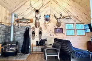 Tbd Tangnes Forest Rd, Southeast Roseau Unorg. Terr., MN 56673 - Photo 9