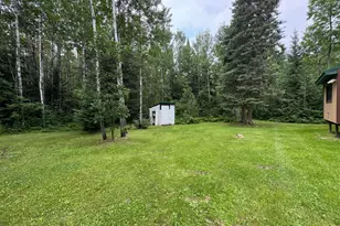 Tbd Tangnes Forest Rd, Southeast Roseau Unorg. Terr., MN 56673 - Photo 5