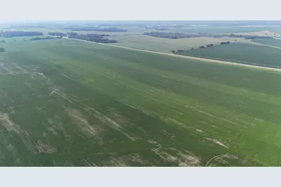 Tbd County 61, Browerville, MN 56438 - Photo 3