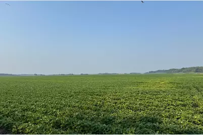 0000 County 61, Browerville, MN 56438 - Photo 15