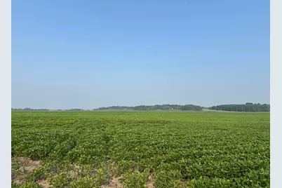 0000 County 61, Browerville, MN 56438 - Photo 21