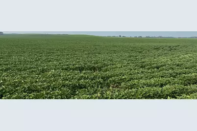 0000 County 61, Browerville, MN 56438 - Photo 11