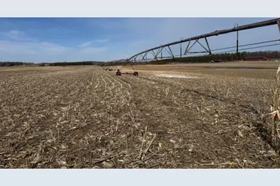 0000 County 61, Browerville, MN 56438 - Photo 21