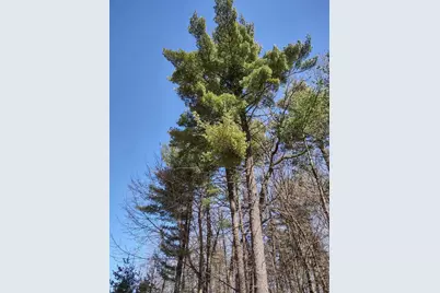 Lot 35 N4Xx 297th Street, Eau Galle, WI 54737 - Photo 15