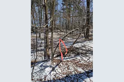 Lot 35 N4Xx 297th Street, Eau Galle, WI 54737 - Photo 19