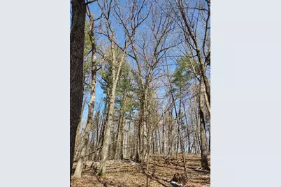 Lot 35 N4Xx 297th Street, Eau Galle, WI 54737 - Photo 13