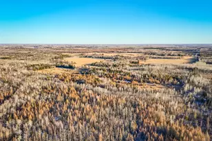 16355 Wildflower Ln NE, Cormant Twp, MN 56630 - Photo 43