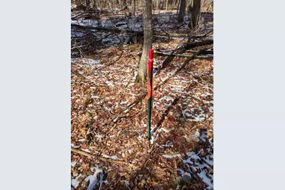 Lot 18 N4Xx 297th Street, Eau Galle, WI 54737 - Photo 21