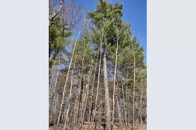 Lot 18 N4Xx 297th Street, Eau Galle, WI 54737 - Photo 19