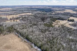 9377 E Wood Lot 5 (Parcel 5) Rd, Poplar, WI 54864 - Photo 1