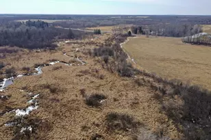 X State Road 73, Sheldon, WI 54766 - Photo 1