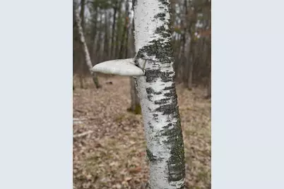 15324 61st Avenue, Milaca, MN 56353 - Photo 33