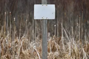 15324 61st Ave, Milaca, MN 56353 - Photo 23