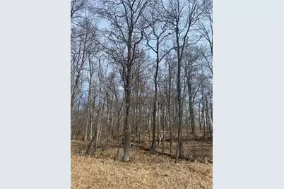 Tbd Delaware Trail, Breezy Point, MN 56472 - Photo 1