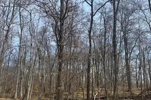 Tbd Delaware Trail, Breezy Point, MN 56472 - Photo 1