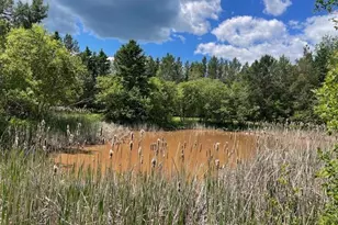 1735 Hwy 12, Two Harbors, MN 55616 - Photo 5