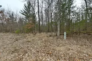 Lot 2 Long Lake Rd, Danbury, WI 54830 - Photo 1
