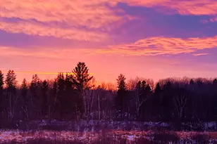 40071 Co Rd 134, Pine River, MN 56474 - Photo 55