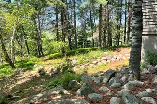 6438 Ponderosa Dr NW, Walker, MN 56484 - Photo 35