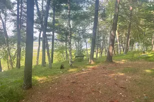 6438 Ponderosa Dr NW, Walker, MN 56484 - Photo 33