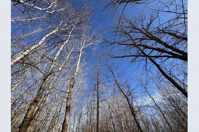 Tbd Bass Lake Road, Osage Township, MN 56570 - Photo 15