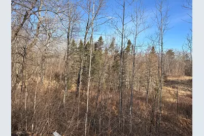 Tbd Bass Lake Road, Osage Township, MN 56570 - Photo 17