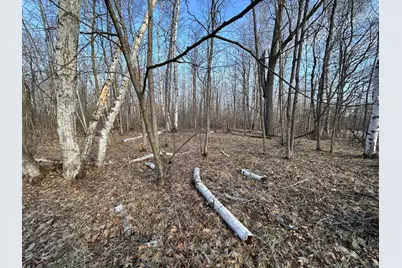 Tbd Bass Lake Road, Osage Township, MN 56570 - Photo 13