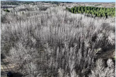 Tbd Bass Lake Road, Osage Township, MN 56570 - Photo 3