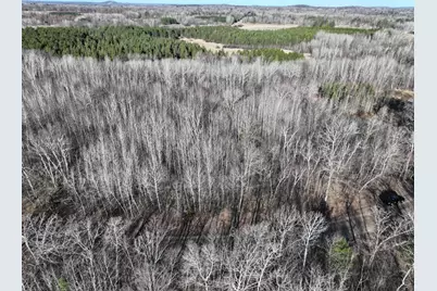 Tbd Bass Lake Road, Osage Township, MN 56570 - Photo 9