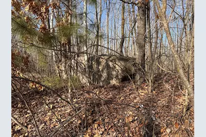 Tbd Bass Lake Road, Osage Township, MN 56570 - Photo 11