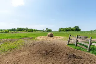 41936 County 75, Bertha, MN 56437 - Photo 13