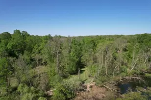 Tbd Cr-13 Rd, Grey Eagle, MN 56336 - Photo 21