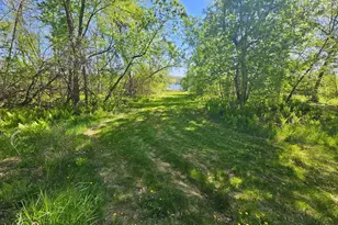 Tbd Cr-13 Rd, Grey Eagle, MN 56336 - Photo 5