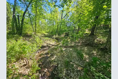 Tbd Cr-13 Road, Grey Eagle, MN 56336 - Photo 7