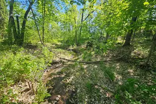 Tbd Cr-13 Rd, Grey Eagle, MN 56336 - Photo 7