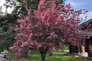 3512 Ahola Rd, Brimson, MN 55602 - Photo 23