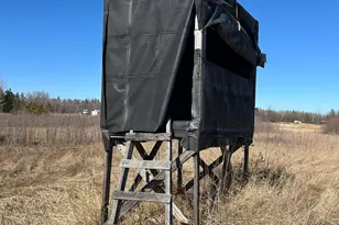 26268 State Hwy 11, Badger, MN 56714 - Photo 11