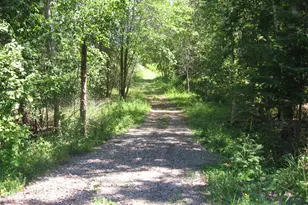 3677 County Rd 54 NE, Longville, MN 56655 - Photo 45