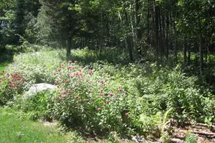 3677 County Rd 54 NE, Longville, MN 56655 - Photo 43