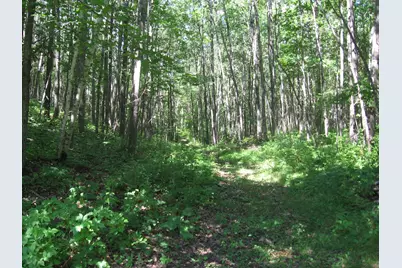 3677 County Road 54 NE, Longville, MN 56655 - Photo 41