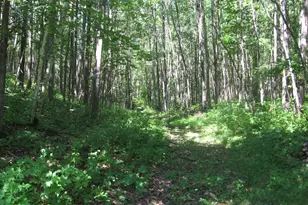 3677 County Rd 54 NE, Longville, MN 56655 - Photo 41