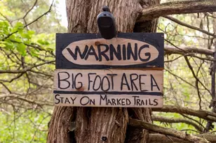 1323 230th Ave, Fairmont, MN 56031 - Photo 77