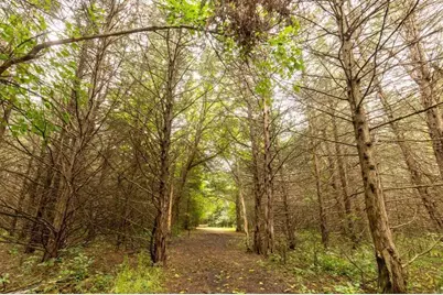 1323 230th Avenue, Fairmont, MN 56031 - Photo 69